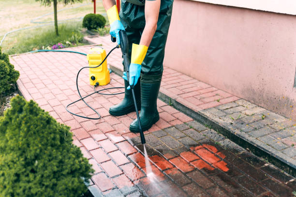 Best Pool Deck Cleaning  in Lopezville, TX