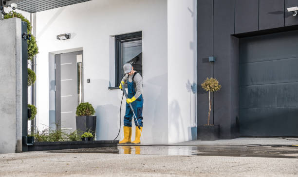Best Solar Panel Cleaning  in Lopezville, TX